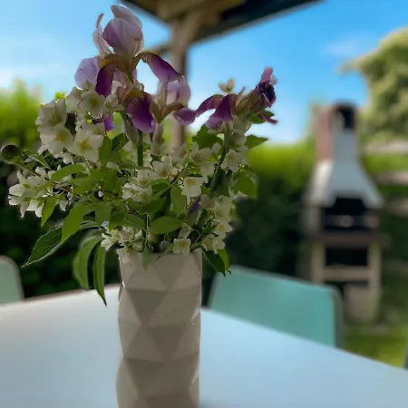 Oasis Garden * Šenčur