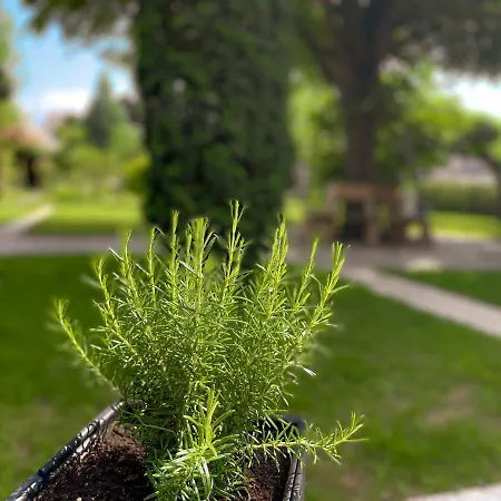 Apartment Oasis Garden *