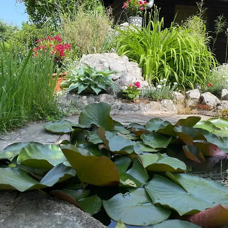 Apartment Oasis Garden