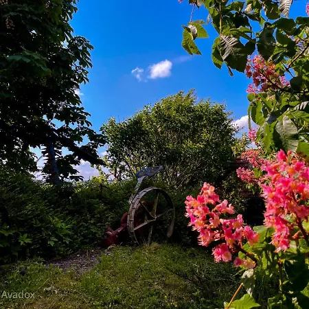 Oasis Garden