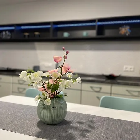 Apartament Oasis Garden *