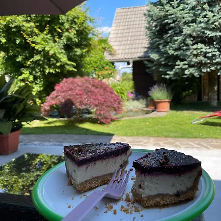 Oasis Garden * Sencur