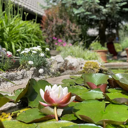 Oasis Garden