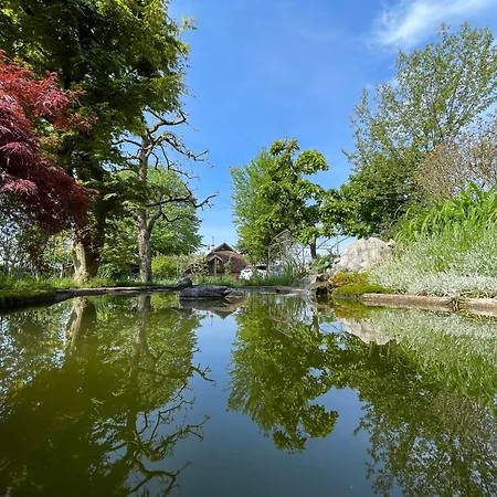 Oasis Garden Sencur