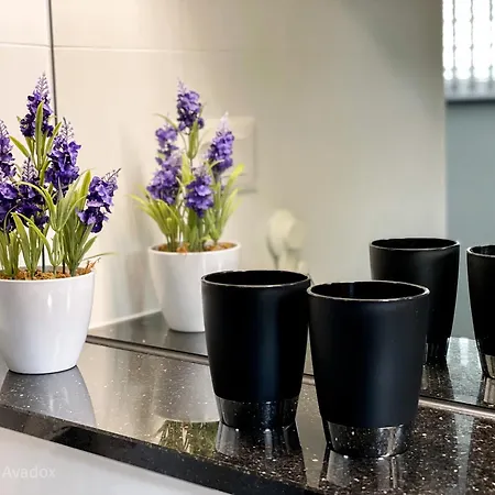 Oasis Garden Apartma