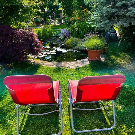 Oasis Garden Sencur