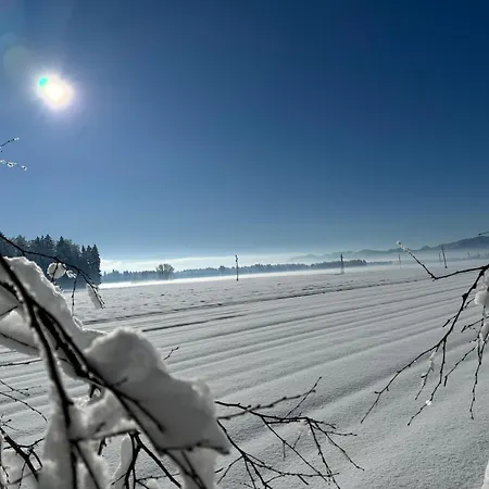 Oasis Garden アパート