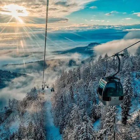 Oasis Garden アパート Šenčur