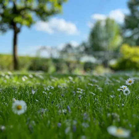 Oasis Garden Apartment Sencur