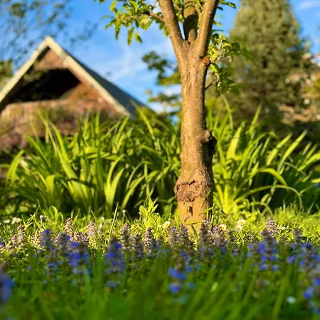 Apartment Oasis Garden