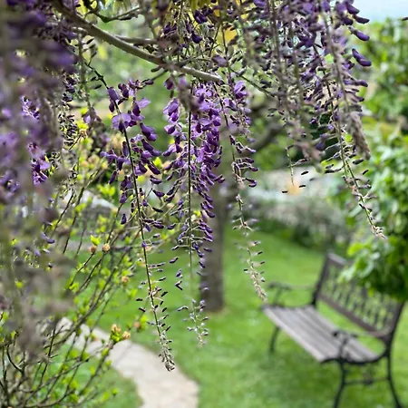 Oasis Garden Sencur