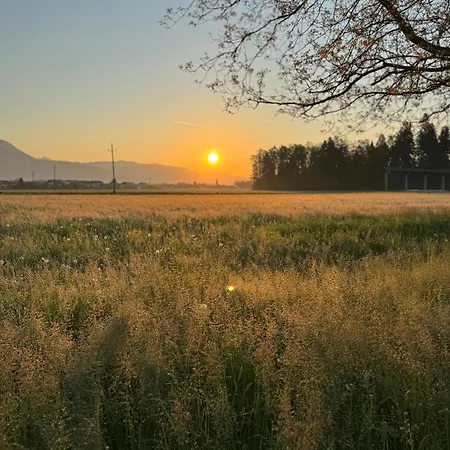 Oasis Garden アパート Šenčur