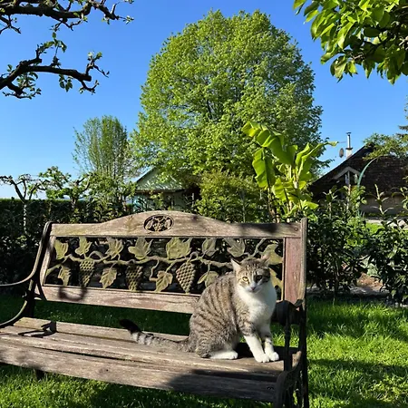 アパート Oasis Garden