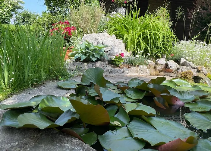 Appartement Oasis Garden