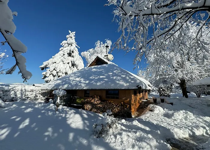Oasis Garden Šenčur