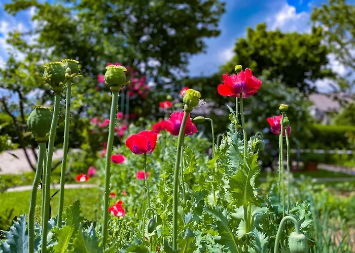 Appartement Oasis Garden Šenčur