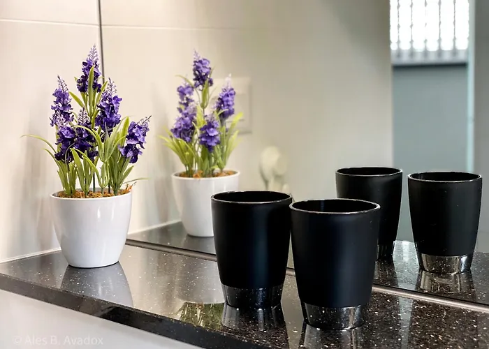 Oasis Garden Appartement