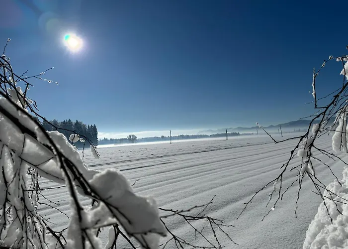 Oasis Garden Appartement