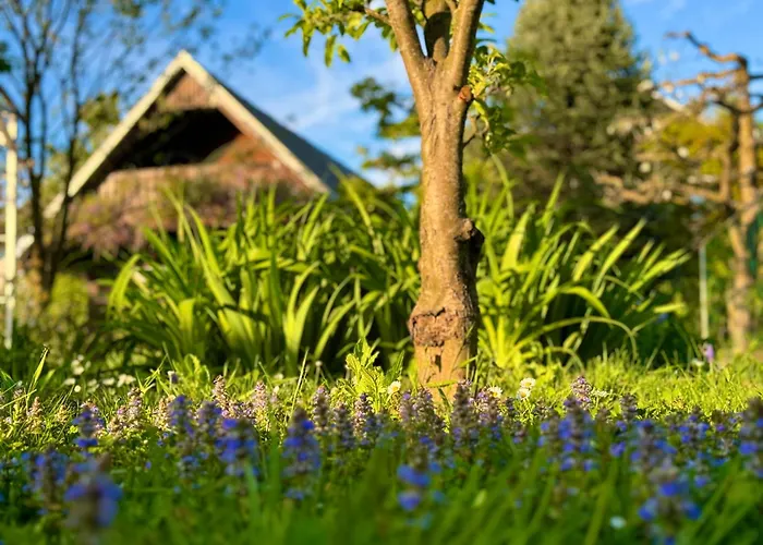 Appartement Oasis Garden